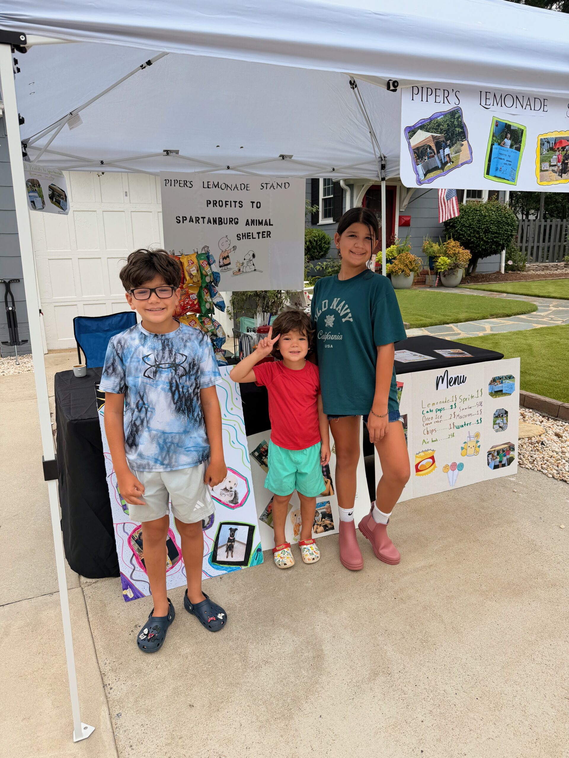 Kittens receiving care at Spartanburg Animal Shelter